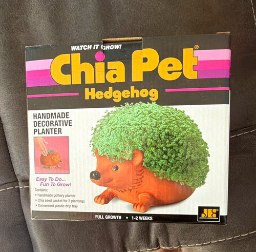 Chia pet hedgehog - hedgehog, handmade