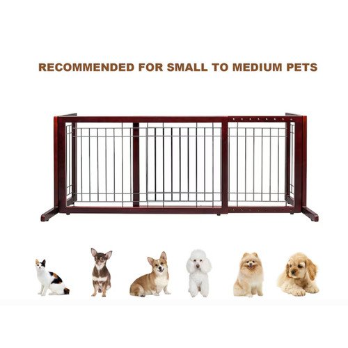 Adjustable free standing dog - standing,