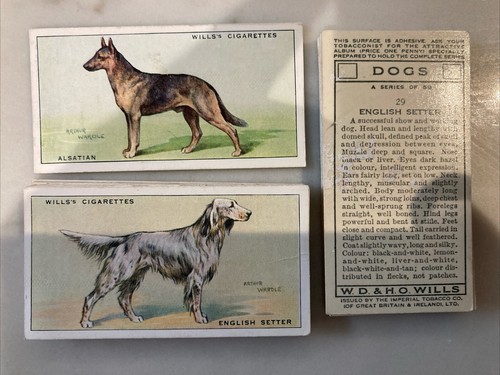 1937 wills dogs - wills's,