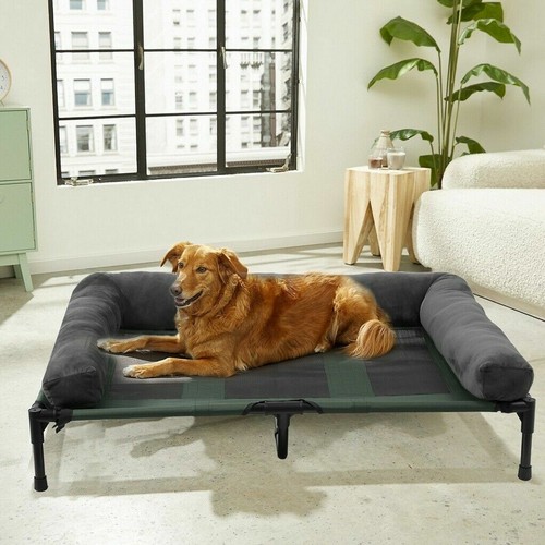 Elevated dog bed - bed, sleep