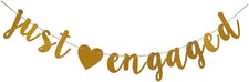 Just Engaged Gold Banner for