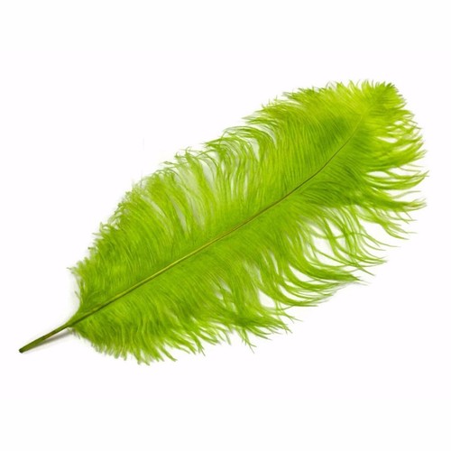 Ostrich feathers lime - ostrich,