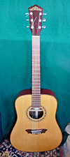 Washburn  D42S acoustic
