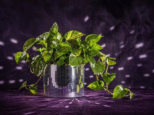 Disco ball planter mirror - ball, tile