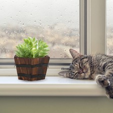 1Pc Carbonized Wooden Succulent Plant Pot Retro Bonsai Flower Pot Wooden Bucket