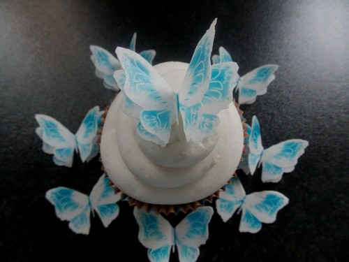Precut double white blue - 12,