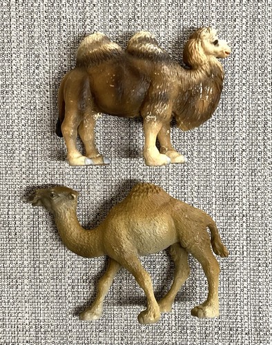 Schleich bactrian blue - bactrian,