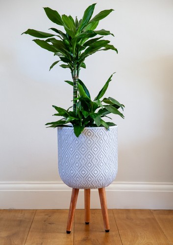 30cm patterned diamond - diamond, planter