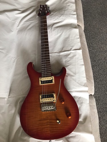 Prs custom with trem - with,