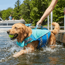 Dog Life Jacket Adjustable