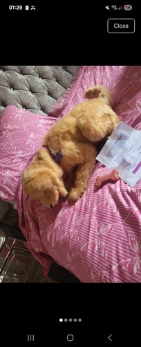 Furreal friends biscuit - furreal,