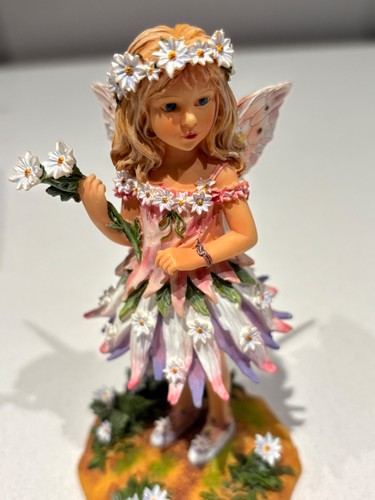 Daisy faerie boxed - *boxed*, by