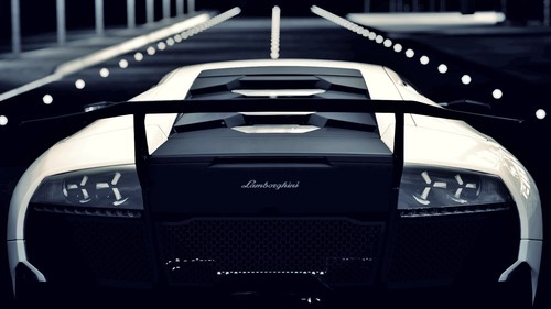 Lamborghini vehicle car white