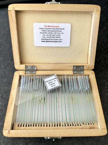 Set gx microscopes - of, 32