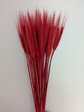 30 STEMS DRIED WHEAT/RYE BUNCH WEDDING CHRISTMAS FLOWERS ARRANGMENT RED BOUQUET