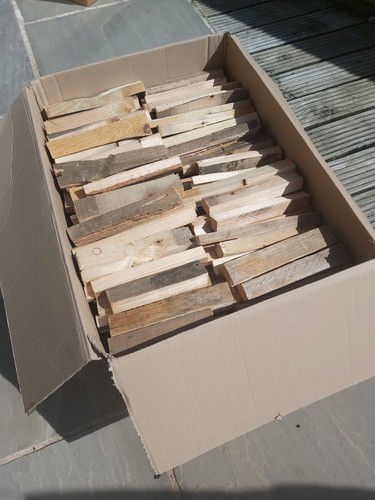Large box kiln - ex,