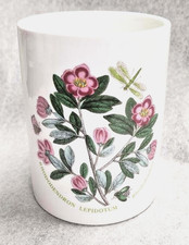 Portmeirion Botanic Garden 4"