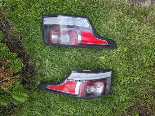 Genuine right left tail - ,
