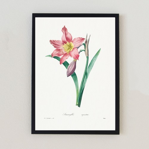 Botanical vintage pink flower - pink,