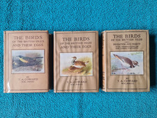 Wayside & Woodland Birds +