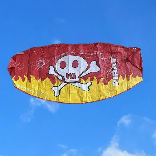 Dual line parafoil kite - dual,