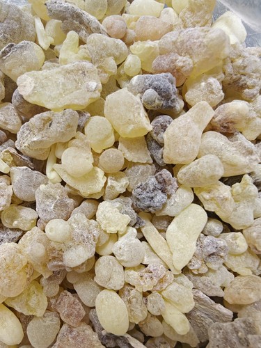 Omani frankincense resin - frankincense,