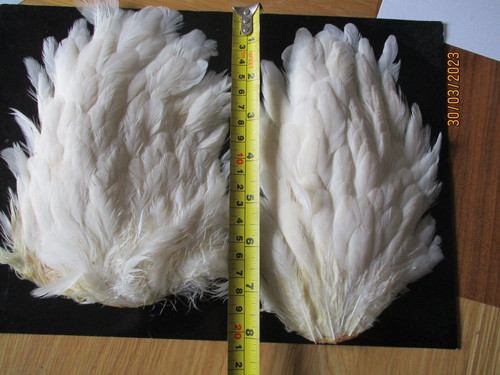 White genetic hen saddles - genetic,