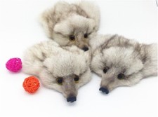 Genuine Fox Face Fur Pelt Skins Hide Tanned Fur Heads Scrap Fox's head ornament