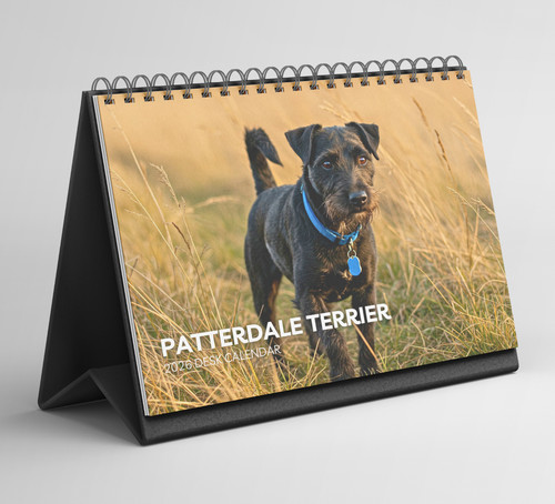 Patterdale terrier desk - patterdale,