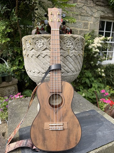 Flight duc430 dao concert - duc430,