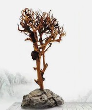 Driftwood Tree Aquarium Fish