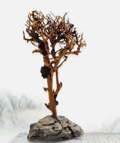 Driftwood tree aquarium fish - driftwood,