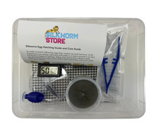 *NEW Upgraded* Silkworm