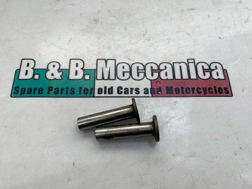 Pair clay pigeon target - pigeon,