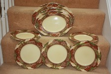 73  10871 Vintage Myott Countryside Serving Platters x 3 & 5 Dinner plates 25cm
