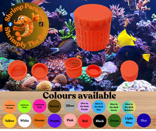 Marine safe mushroom coral - safe,