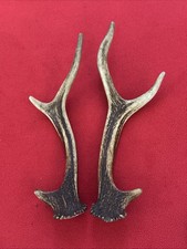 PAIR OF SIKA DEER ANTLERS 211g.   aprox. 24/26,5cm.
