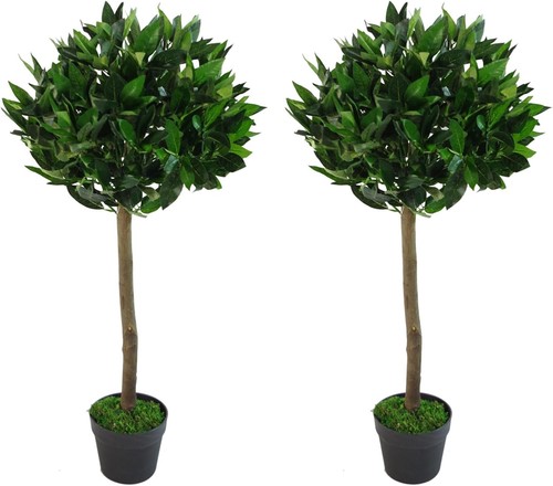 Leaf design pair - leaf,