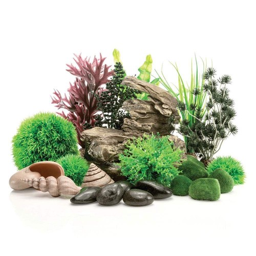 Biorb aquarium fish tank - aquarium, decor