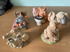 Leonardo collection and piggin