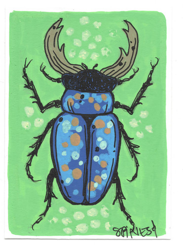Stag beetle original aceo - beetle,