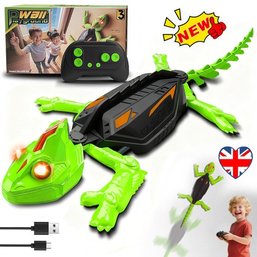 Wall crawler gecko - crawler,