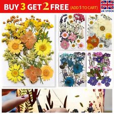 Real Dried Press Flowers Candle Making Craft DIY for Resin Jewelry Making Decors