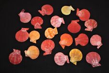 20 Colourful half Scallop shells