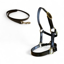 MINI SHETLAND FOAL LEATHER HEADCOLLAR WITH LEAD REIN WEANLING *FREE POSTAGE*