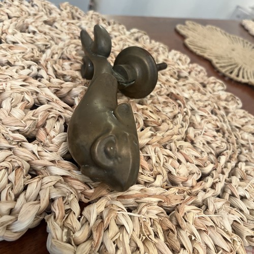 Antique dolphin brass door