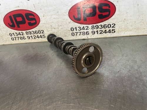 Camshaft drive gear - gear, x
