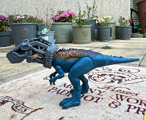 Large blue carcharadontasaur - blue,