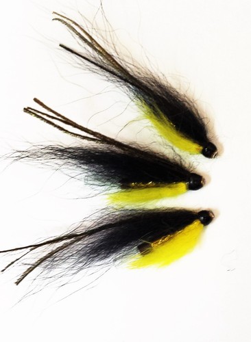 Monkey fly salmon - x,