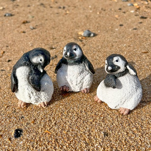 Baby penguin bird garden - 3,